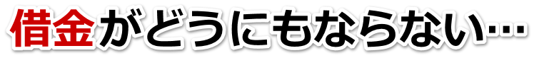 何も考えられない。借金が返せない。根室市で無料相談して弁護士や司法書士の力を借りる